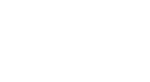 lilley international logo white